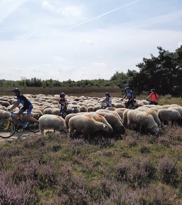 Het Haaksbergerveen geeft prachtige verhalen prijs….