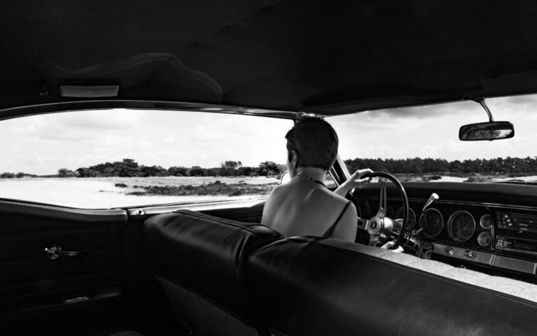 Mirjam Huisman  ‘Mustangs’