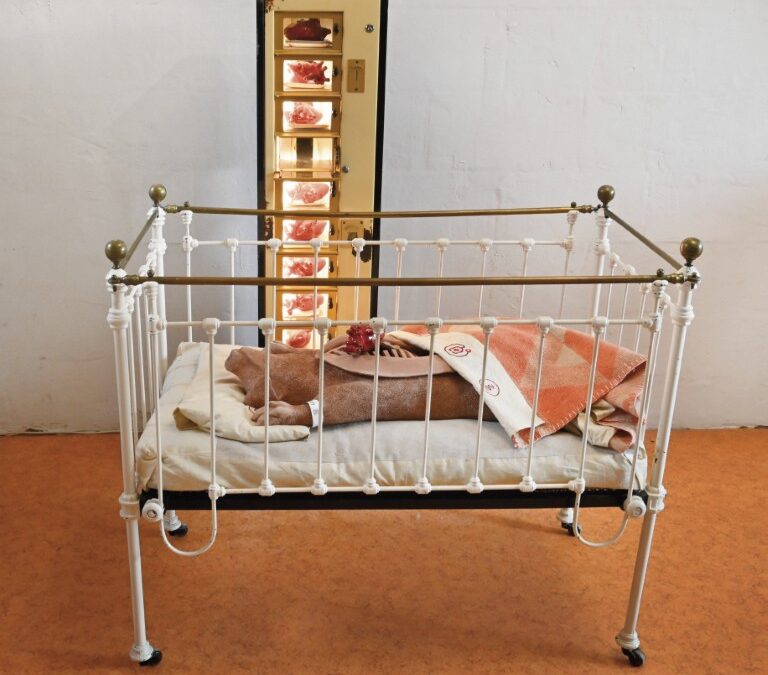 Wunderkammer van de 21e eeuw