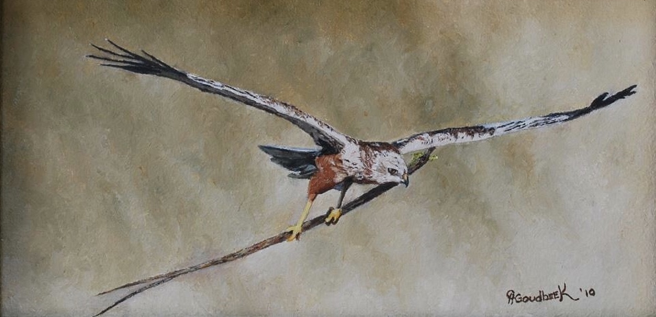 Erna Goudbeek,  Internationaal erkend wildlife-kunstenaarschap keert terug naar de stad van oorsprong Almelo