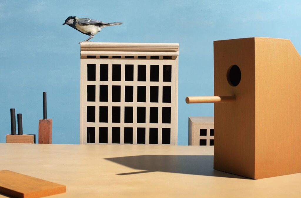 Laatste kans: vogels nemen nog twee weken het Stedelijk Museum Almelo over