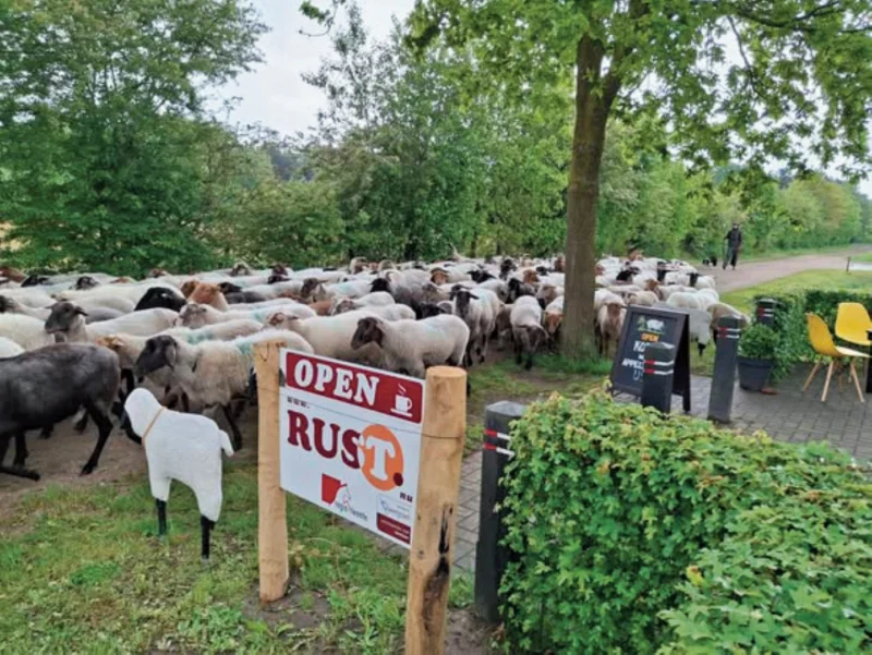 Bezoekerscentrum Schaapskooi Haaksbergen, Genieten en ontdekken